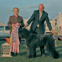 Bouvier image: Dante winning Best In Specialty Show
