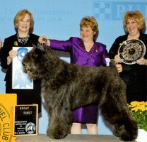 Bouvier image: Dante winning a Group 1st