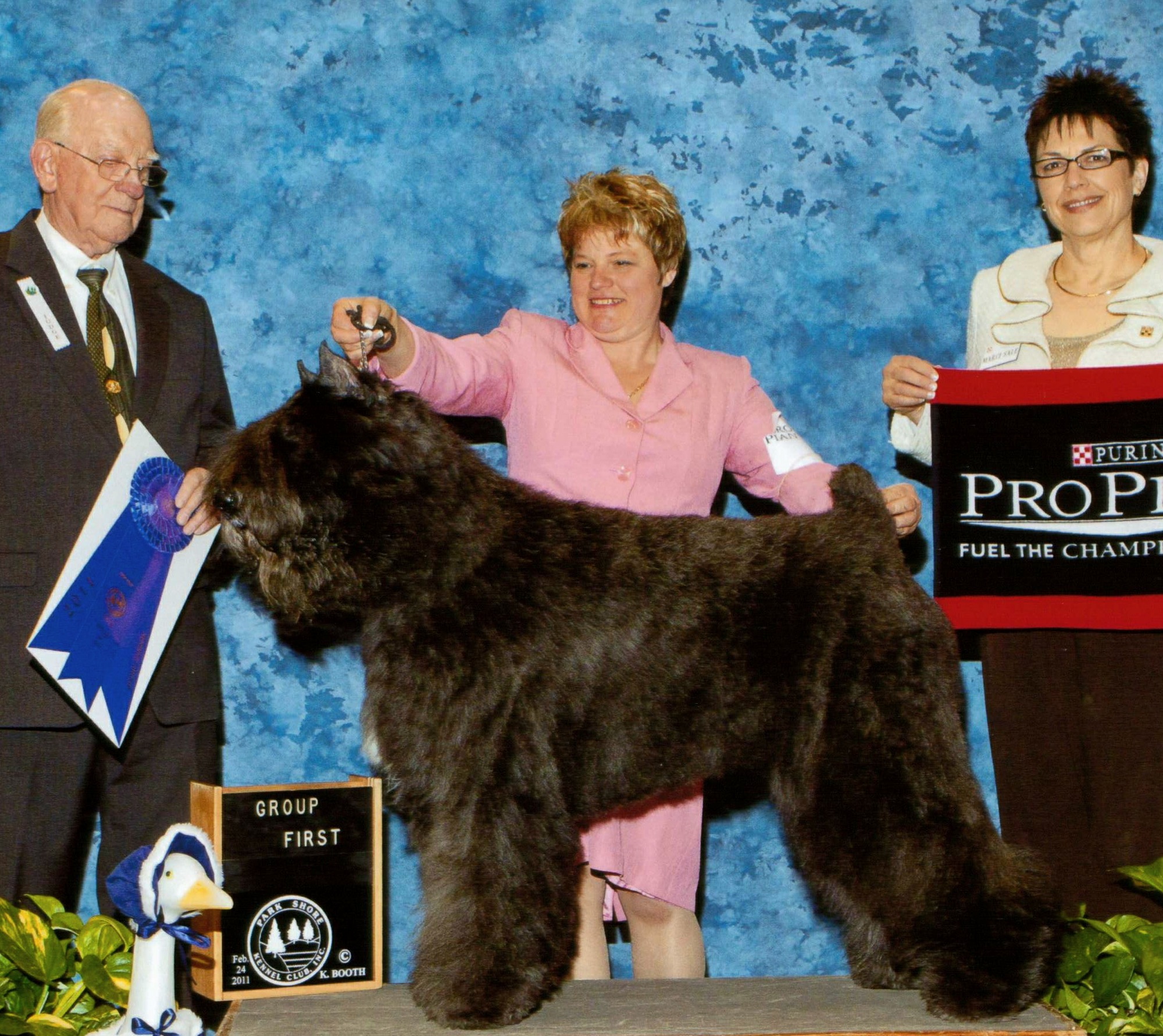 Bouver Des Flanres image: Dante winning Group 1st