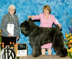 Bouvier image: Dante winning a Group 4th