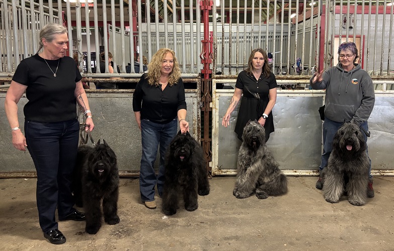 Bouvier: Legaat Van Vlaanderen and his get