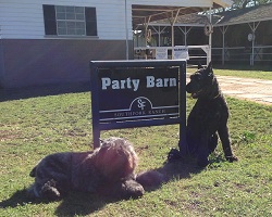 NV & Bach; photo says it all!