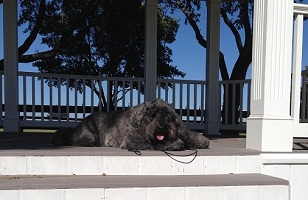 NV enjoying the good life!
