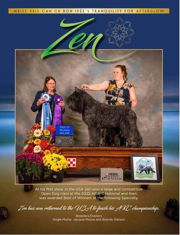 Bouvier image: 'Zen' starting his USA show career